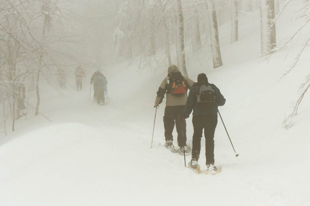 Sneeuwschoenen, Vogezen, maart 2003