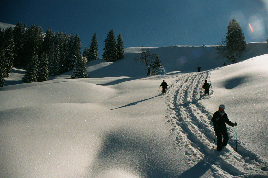 Sneeuwschoenen, Les Pléiades, maart 2001