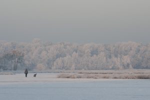 Koning Winter, januari 2009