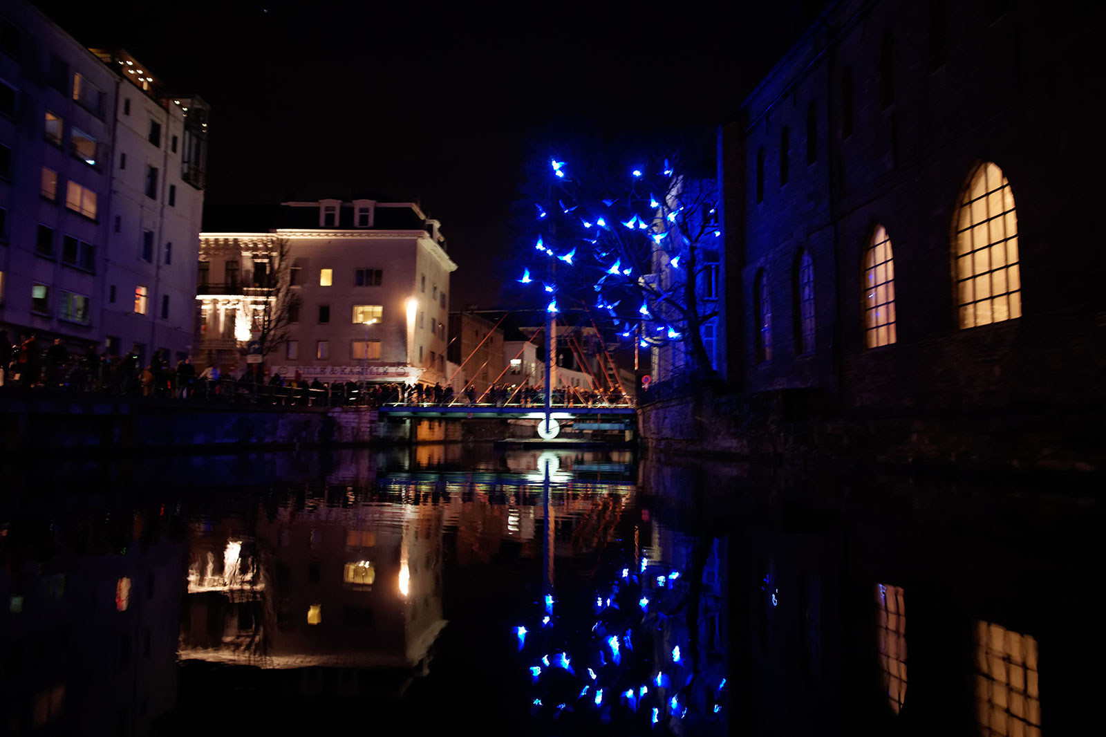 Lichtfestival Gent, januari 2012