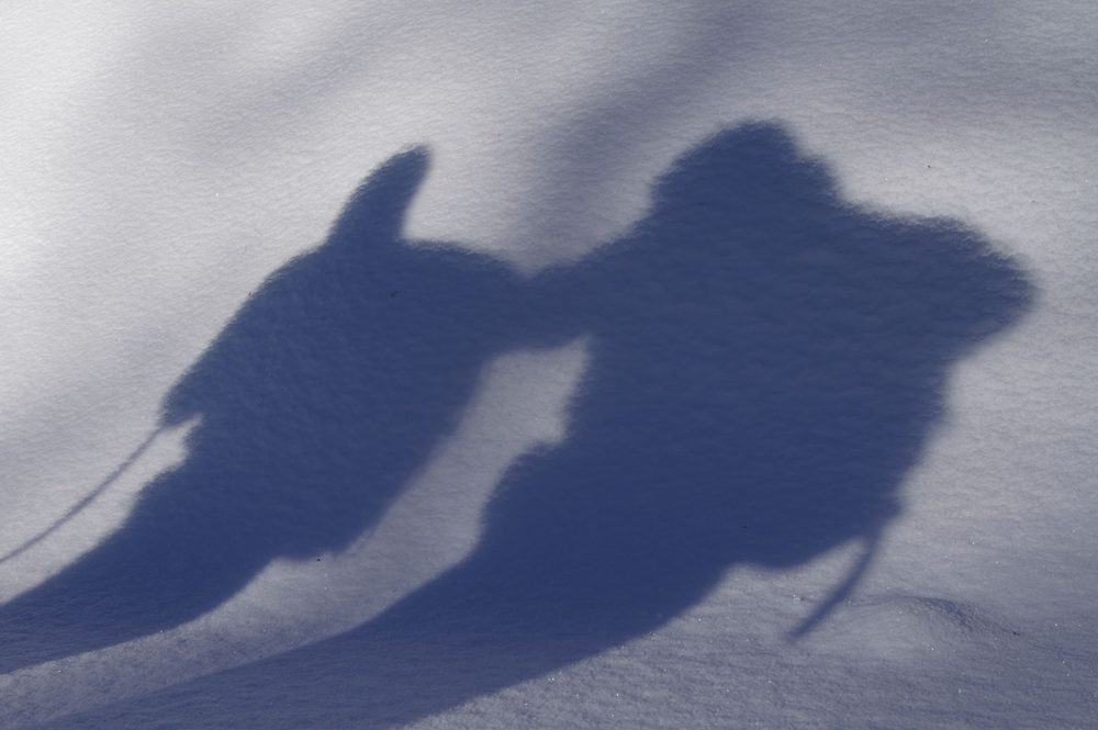 Sneeuwschoenen, Nieuwjaar 2014