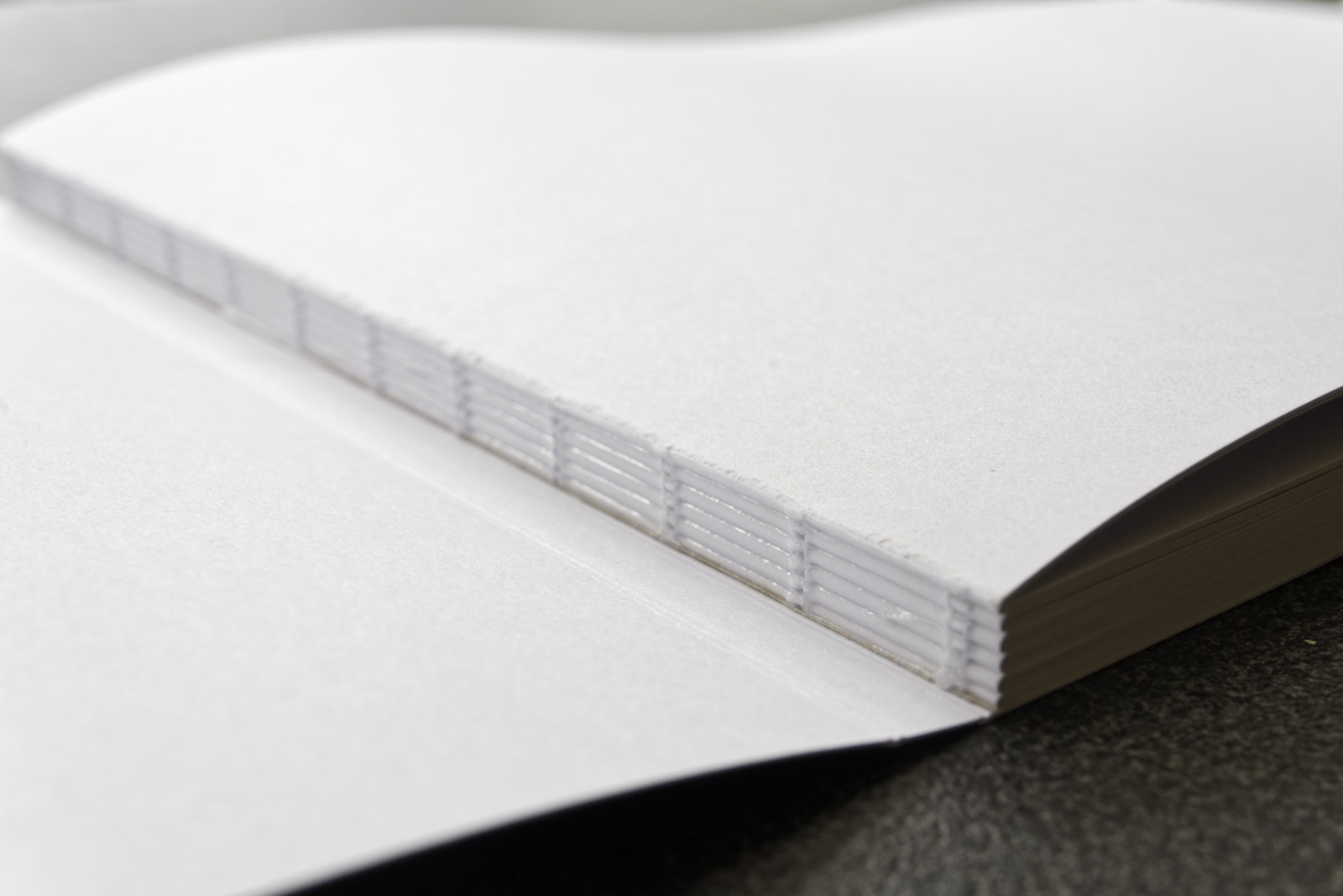 Zwitserse binding