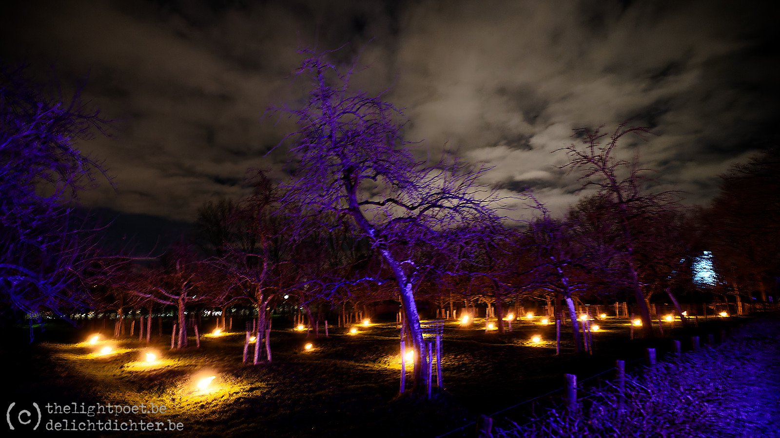 Bokrijk Winterlicht, december 2023