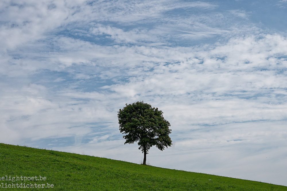 Liesetal (Duitsland), juli 2024